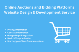 Online Auctions and Bidding Platforms Website Design & Development Service