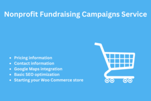 Nonprofit Fundraising Campaigns Service